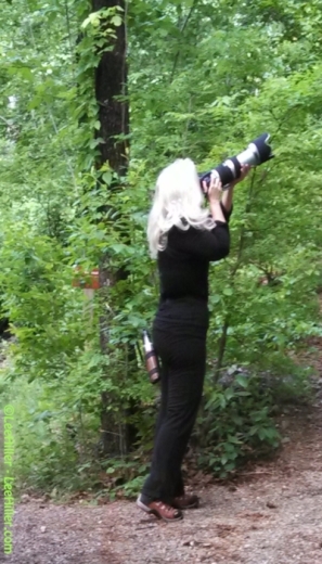 Lee Hiller Hiking in Hot Springs National Park, Arkansas